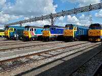 50007, 50017, 50025,50044 and 50049